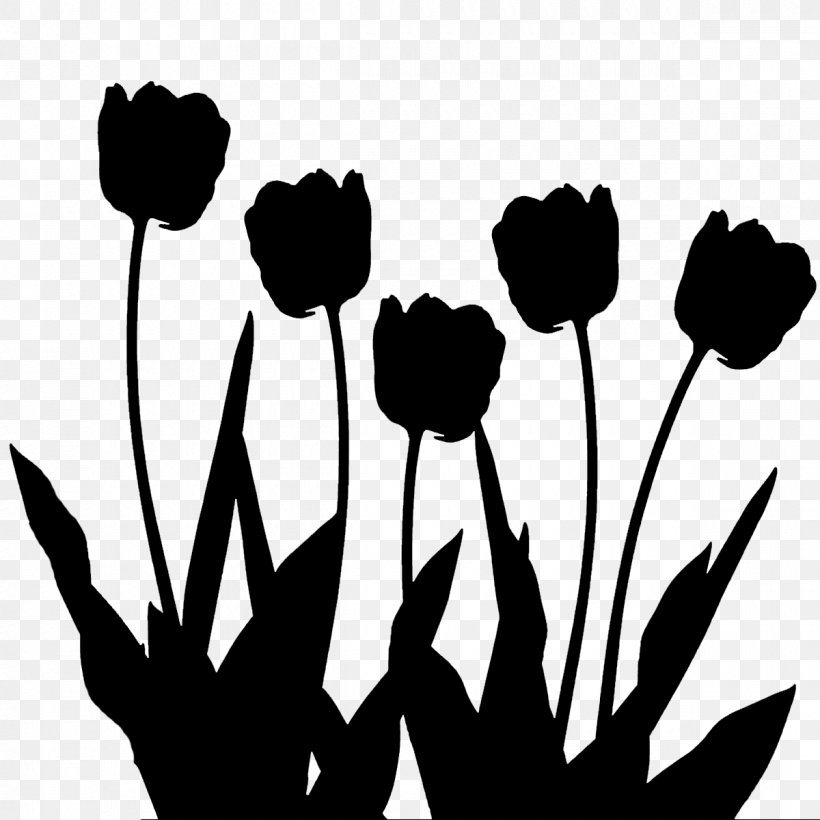 Wedding Invitation Tulip Clip Art, PNG, 1200x1200px, Wedding Invitation, Blackandwhite, Botany, Flower, Flowering Plant Download Free