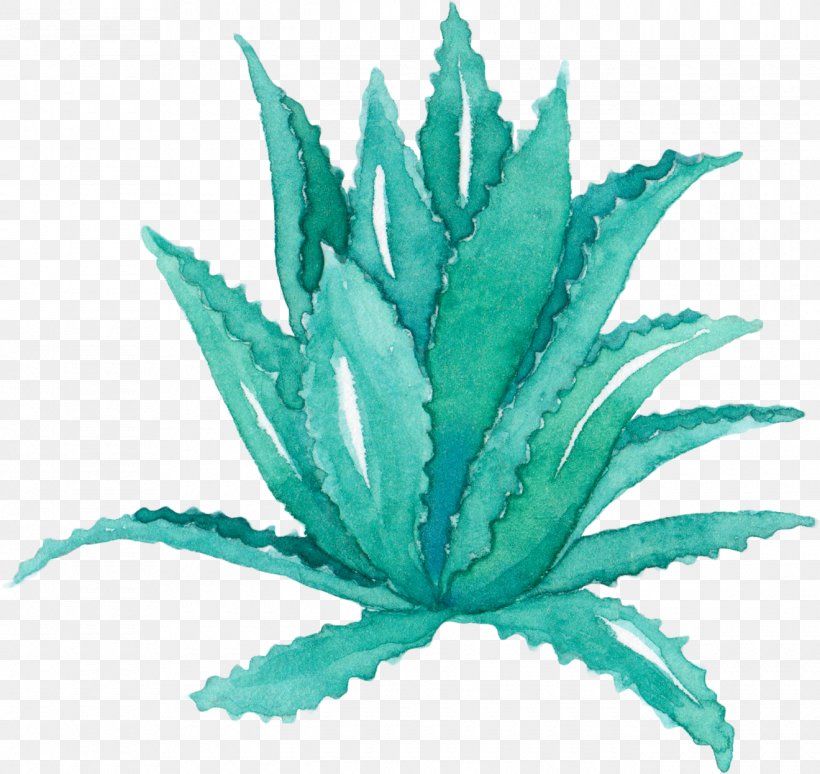 Aloe Vera Leaf Agave Watercolor Painting Succulent Plant, PNG, 1320x1247px, Aloe Vera, Agave, Aloe, Blue, Bonsai Download Free