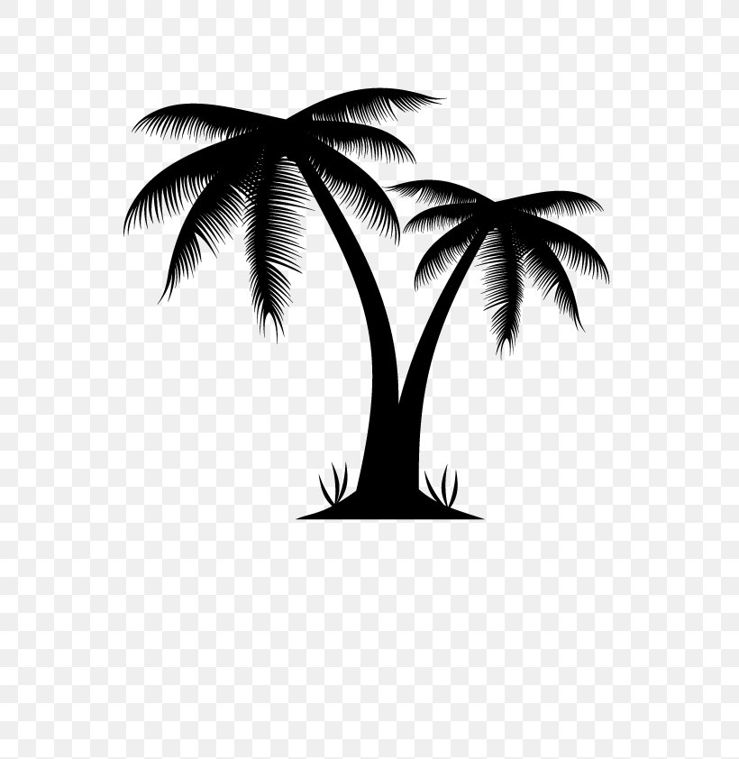 Arecaceae Euclidean Vector Illustration, PNG, 595x842px, Arecaceae, Arecales, Black And White, Branch, Drawing Download Free