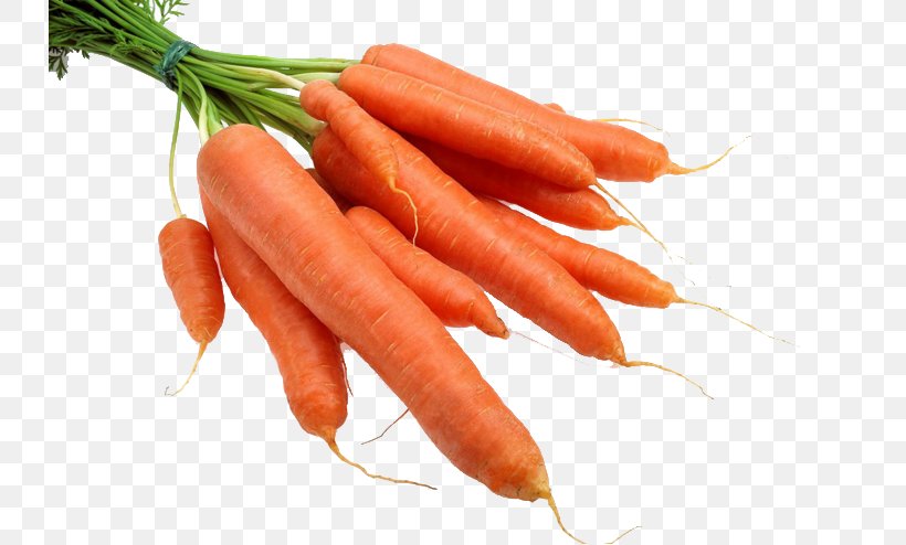 Carrot Radish Gratis, PNG, 731x494px, Carrot, Baby Carrot, Bockwurst, Daucus Carota, Designer Download Free
