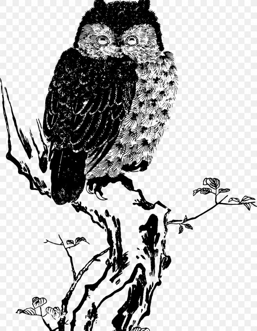 Owl Drawing Clip Art, PNG, 994x1280px, Owl, Art, Beak, Bird, Bird Of Prey Download Free