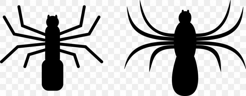 Spider Web Download Clip Art, PNG, 2400x937px, Spider, Arm, Artwork, Black And White, Insect Download Free