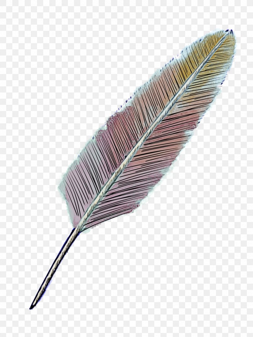Writing Cartoon, PNG, 1500x2000px, Feather, Leaf, Natural Material, Pen, Plant Download Free