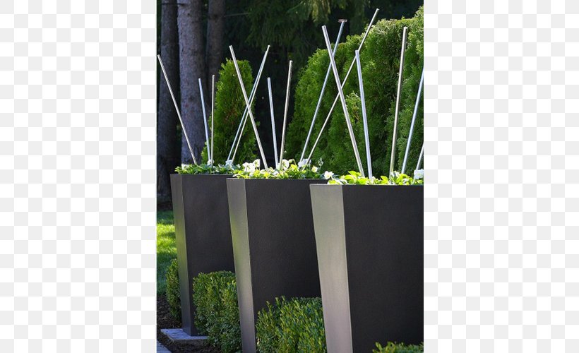 Grasses Herb Rectangle Tree Family, PNG, 500x500px, Grasses, Family, Flowerpot, Grass, Grass Family Download Free