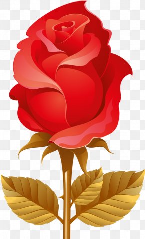 Deco - Mother's Day Greeting & Note Cards Valentine's Day Clip Art PNG