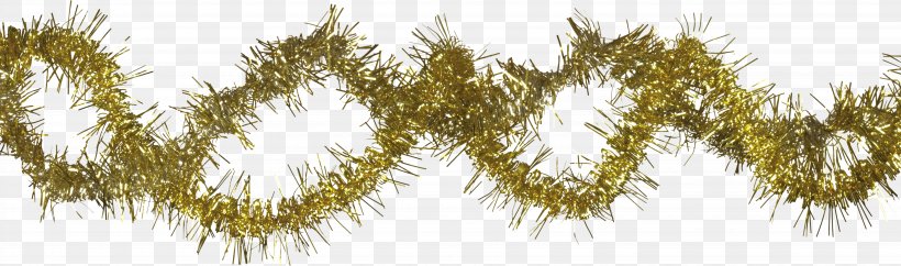 Spruce Fir Tinsel Clip Art, PNG, 6504x1925px, Spruce, Branch, Casuarina, Conifer, Evergreen Download Free