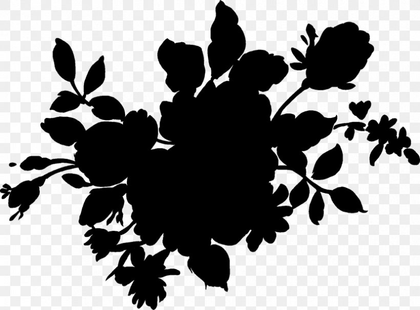 Black & White, PNG, 830x615px, Black White M, Black M, Blackandwhite, Botany, Branch Download Free