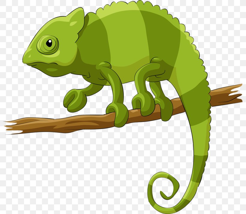 Chameleons Lizard Reptile Illustration, PNG, 800x712px, Chameleons, Cartoon, Chameleon, Fauna, Fictional Character Download Free