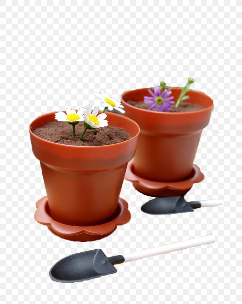 Flowerpot Superfood Tableware, PNG, 690x1030px, Flowerpot, Superfood, Tableware Download Free