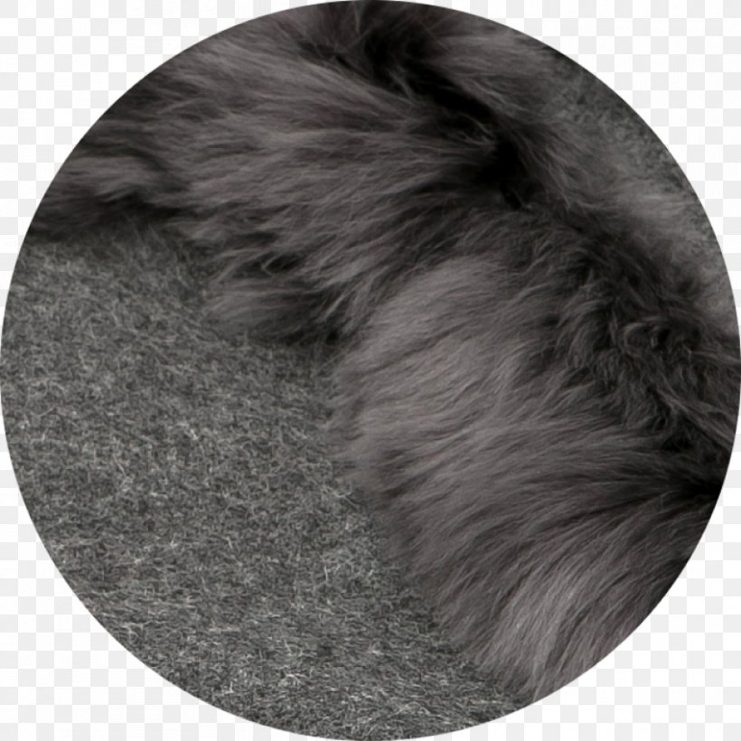 Snout Fur, PNG, 850x850px, Snout, Fur, Tail Download Free