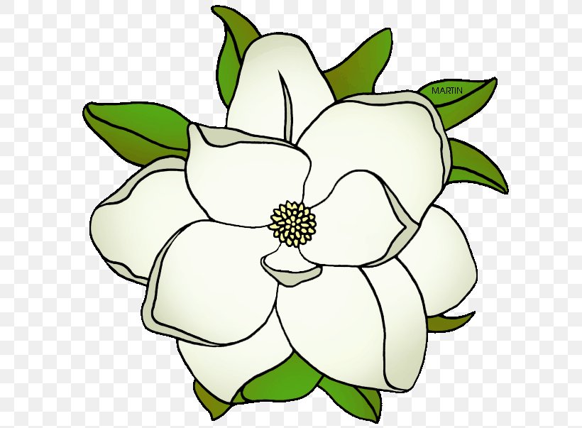 free magnolia clipart