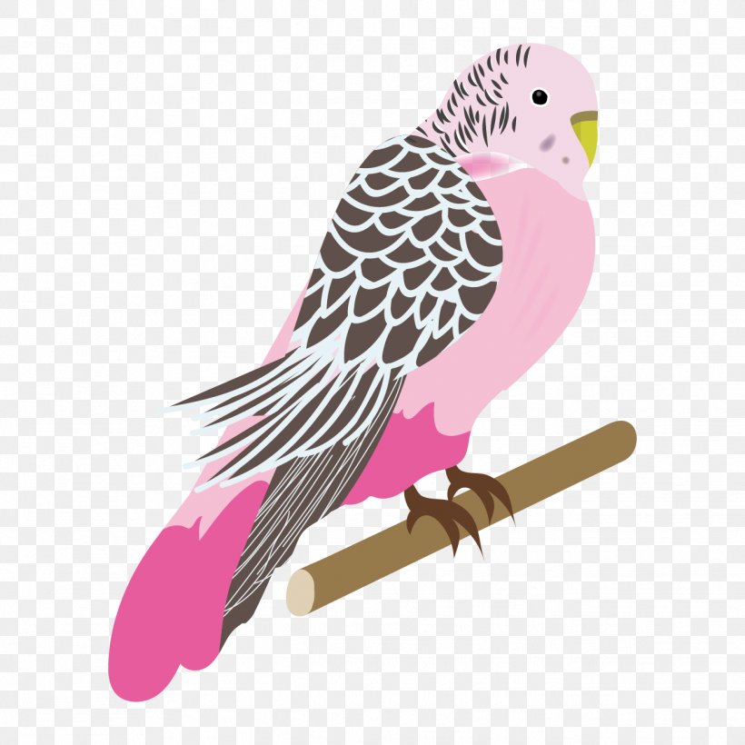 Budgerigar Bird Parrot Parakeet Pink, PNG, 1321x1321px, Budgerigar, Beak, Bird, Bird Of Prey, Color Download Free