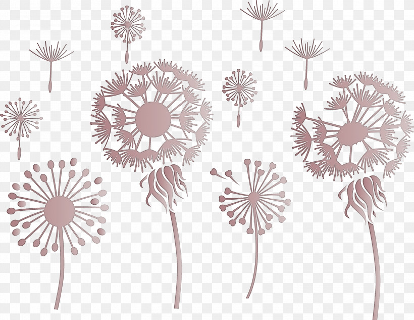 Dandelion, PNG, 3000x2317px, Dandelion, Branch, Chrysanthemum, Daisy Family, Flower Download Free