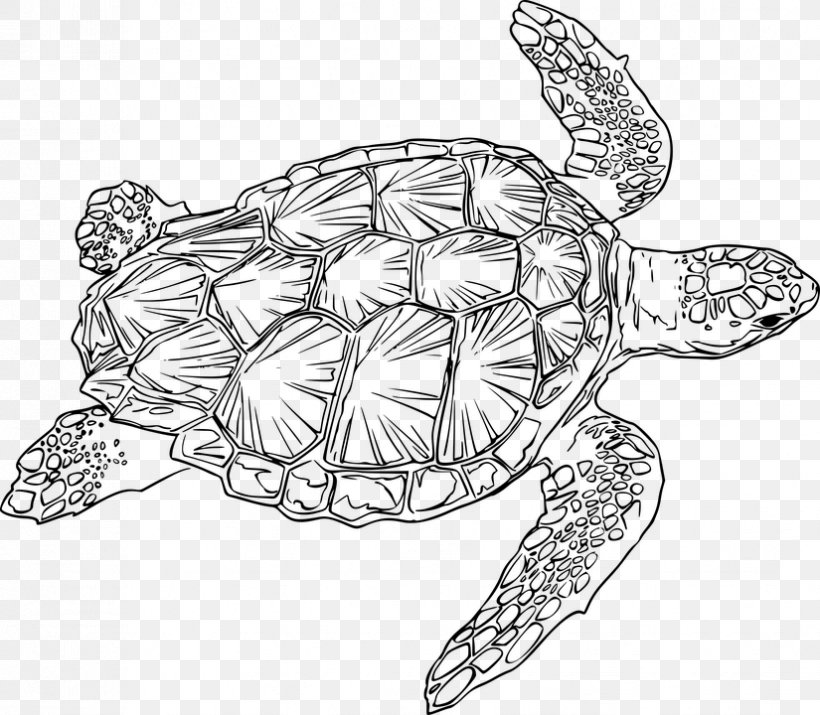 Loggerhead Sea Turtle Green Sea Turtle Clip Art, PNG, 825x720px, Turtle, Art, Artwork, Black And White, Body Jewelry Download Free