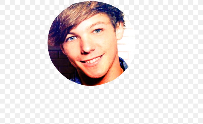 Louis Tomlinson Take Me Home Tour One Direction The X Factor Up All Night, PNG, 500x503px, Watercolor, Cartoon, Flower, Frame, Heart Download Free