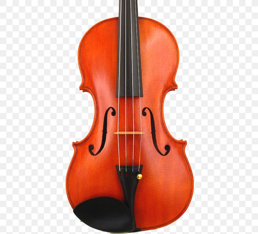 Bass Violin Viola Violone Double Bass, PNG, 500x746px, Bass Violin, Antonio Stradivari, Bowed String Instrument, Cellist, Cello Download Free