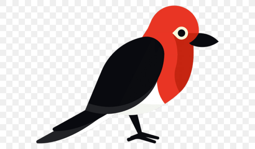 Bird Beak European Robin Old World Flycatcher Songbird, PNG, 640x480px, Bird, Beak, Cardinal, European Robin, Finch Download Free
