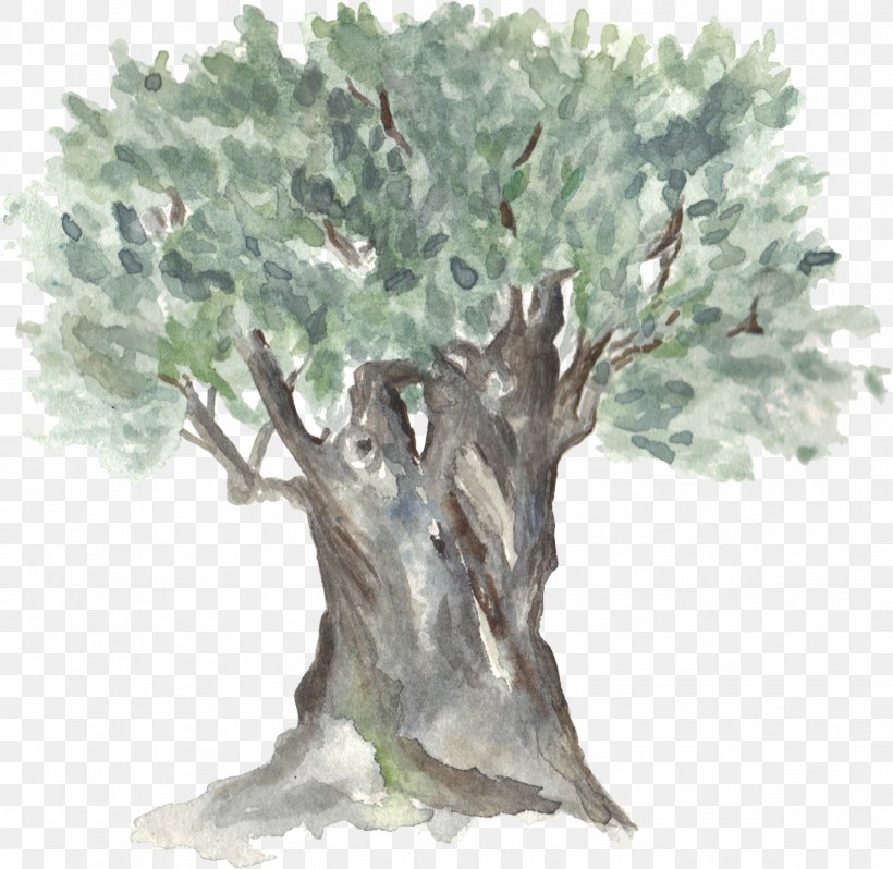 Hand-painted Watercolor Trees, PNG, 1452x1414px, Tree, Art, Bonsai, Branch, Houseplant Download Free