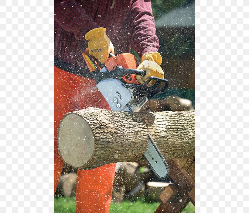 Tree Stihl MS 170 Chainsaw, PNG, 700x700px, Tree, Carburetor, Chain, Chainsaw, Cutting Download Free