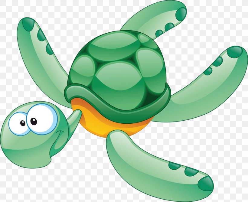 Turtle Aquatic Animal Clip Art, PNG, 1000x815px, Turtle, Animal, Aquatic Animal, Marine Life, Organism Download Free