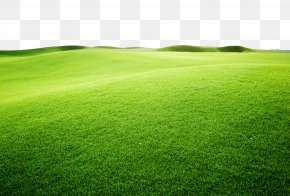 Yellow Green Vibrant Plane - Artificial Turf Sports Venue Green Grassland Grasses PNG