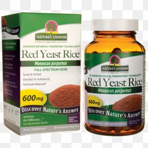 Health - Dietary Supplement Chaste Tree Swanson Health Products Natural Foods PNG