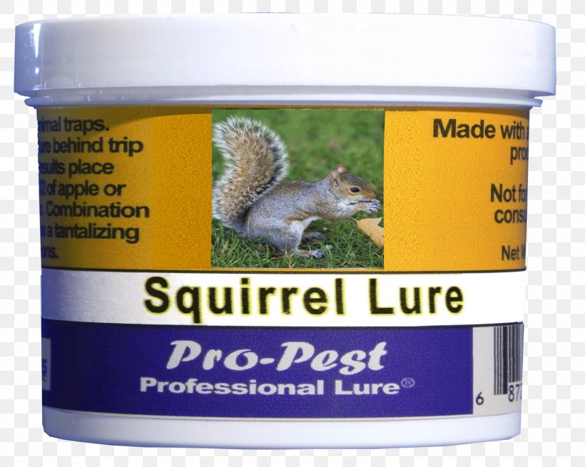 Squirrel Groundhogs Rat Bait, PNG, 1501x1200px, Squirrel, Animal, Bait, Cockroach, Fishing Baits Lures Download Free