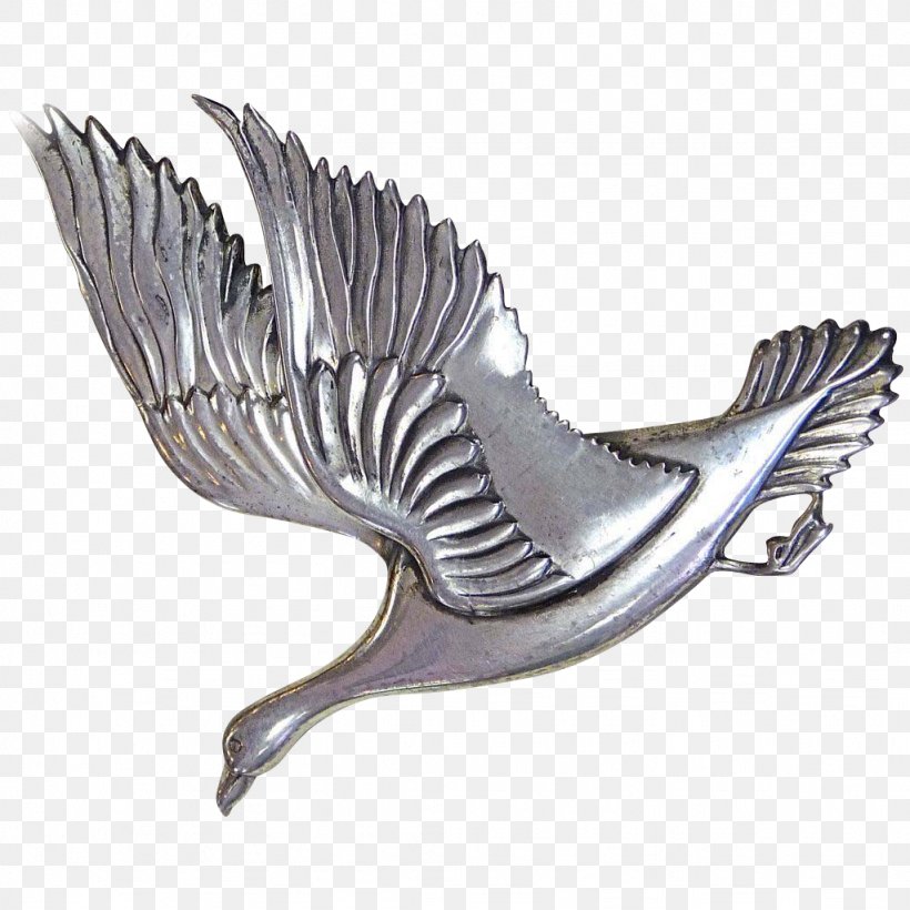 Bird Wing Feather Beak, PNG, 1024x1024px, Bird, Beak, Feather, Wing Download Free