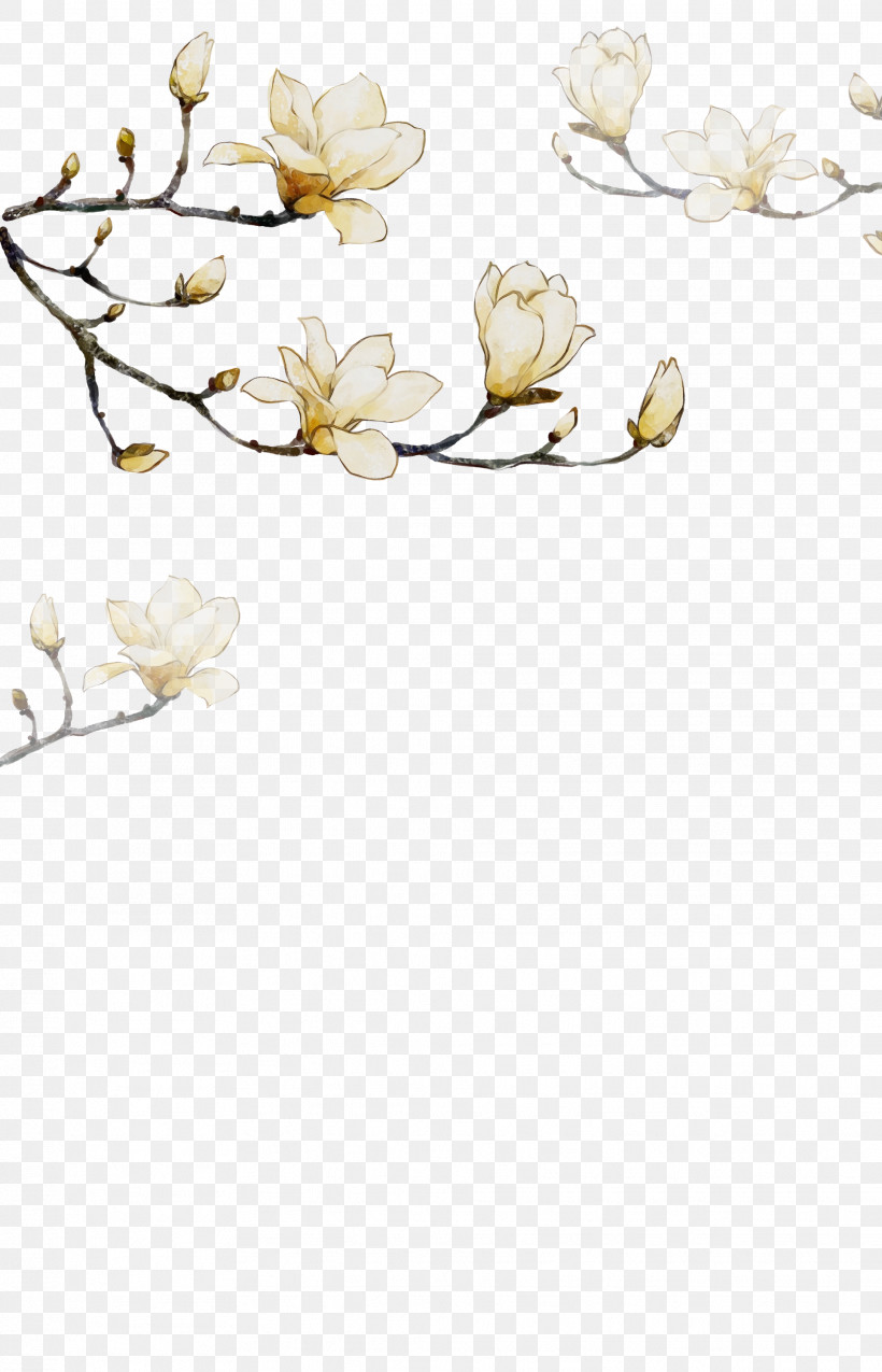 Branch Flower Petal Plant Blossom, PNG, 1928x2999px, Watercolor, Blossom, Branch, Flower, Magnolia Download Free