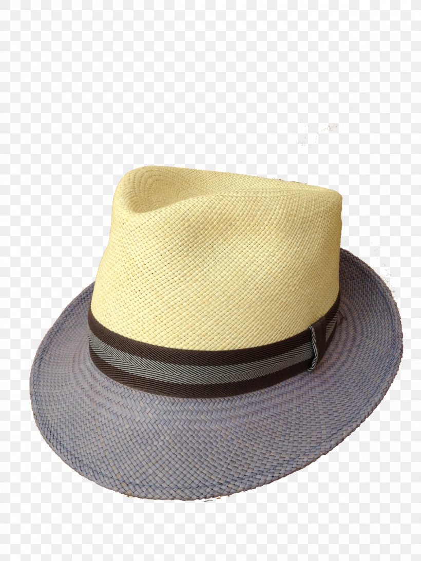 Fedora Montecristi, Ecuador The Panama Hat Trail: A Journey From South America, PNG, 1200x1600px, Fedora, Amazoncom, Borsalino, Crown, Ecuador Download Free