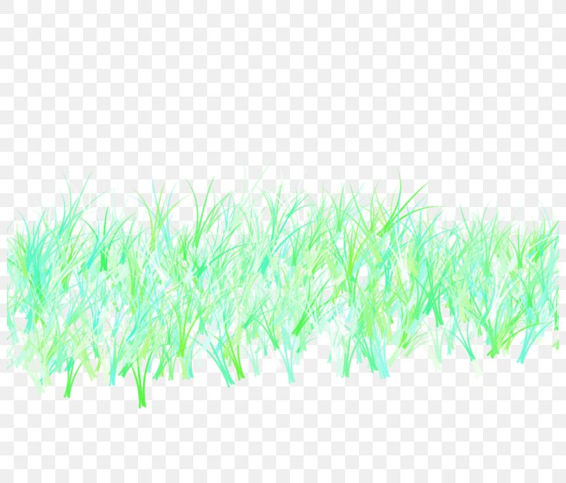 Green Pattern, PNG, 800x700px, Green, Aqua, Grass, Text Download Free