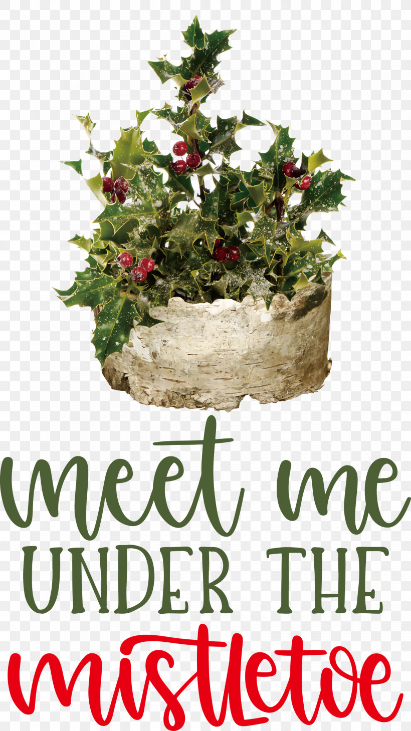 Meet Me Under The Mistletoe Mistletoe, PNG, 1686x3000px, Mistletoe, Christmas Day, Christmas Ornament, Christmas Ornament M, Christmas Tree Download Free
