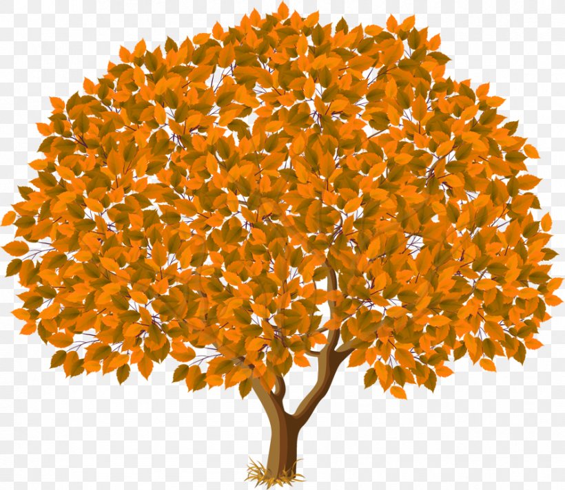 Tree Autumn Clip Art, PNG, 889x772px, Tree, Autumn, Branch, Image Resolution, Orange Download Free