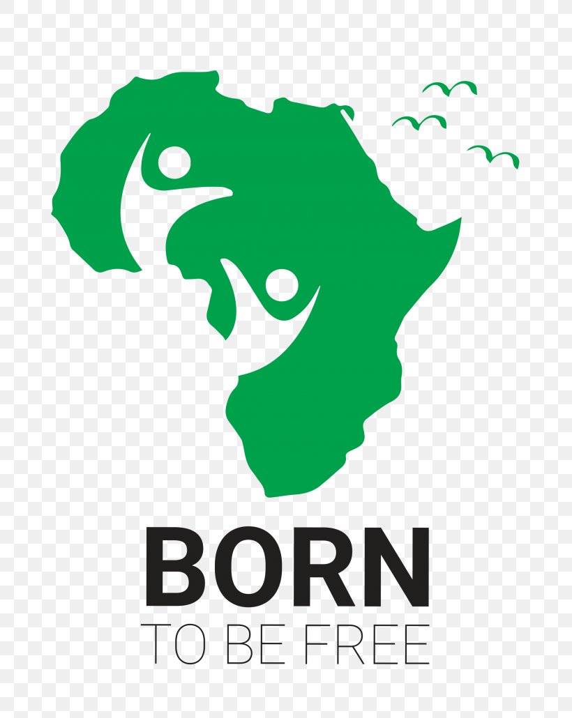 West Africa Akon Lighting Africa Organization Non-profit Organisation Solar Energy, PNG, 788x1030px, West Africa, Africa, Akon, Akon Lighting Africa, Area Download Free