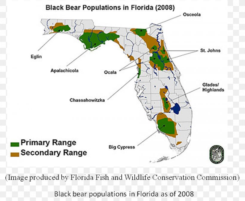 Florida Alligator Population Map Florida Black Bear Florida Black Bear Map American Alligator, PNG 