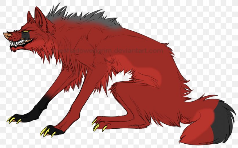 Fox Schipperke Black Wolf Canidae Snout, PNG, 880x550px, Fox, Black Cat, Black Wolf, Canidae, Carnivora Download Free