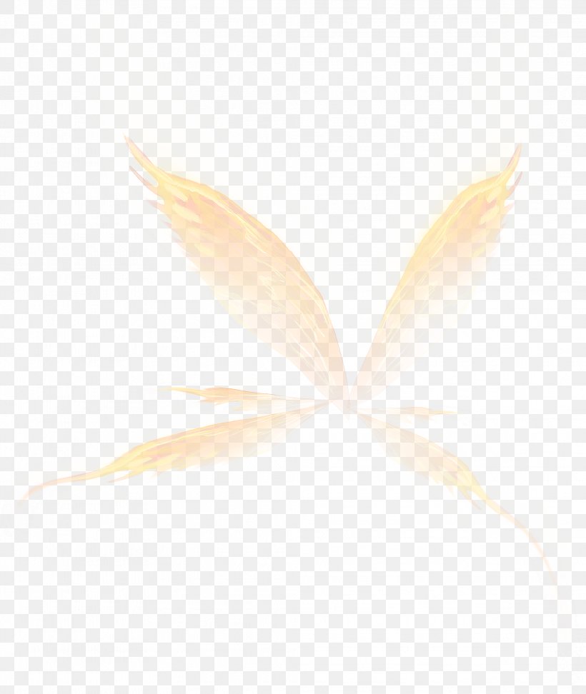 White Angle Pattern, PNG, 2027x2405px, White, Beak, Beige, Texture, Wing Download Free