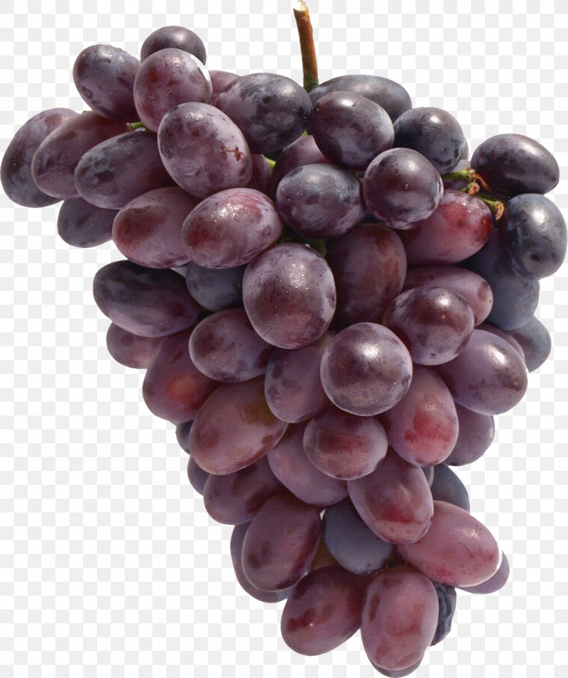 Common Grape Vine Food, PNG, 1005x1200px, Common Grape Vine, Amazon Grape, Food, Fruit, Grape Download Free