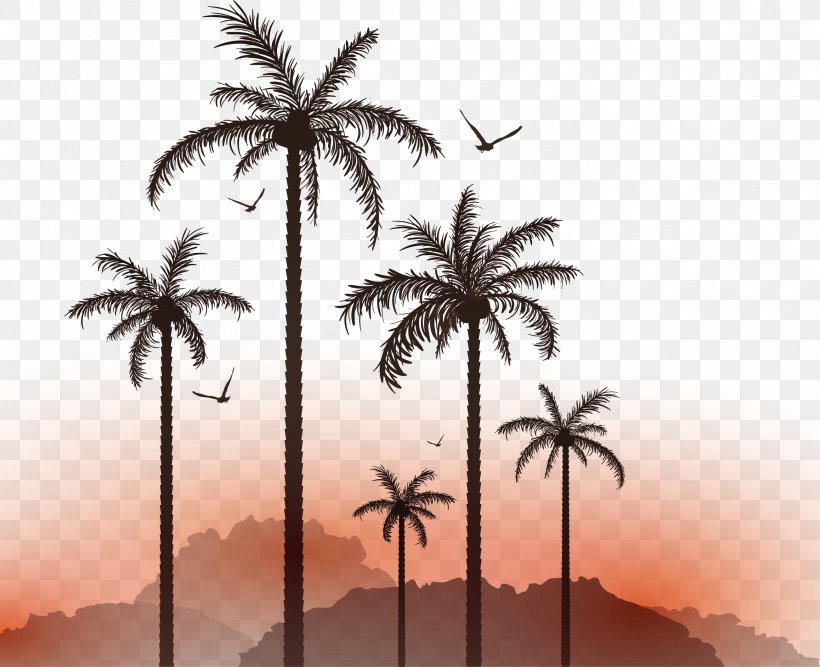 Euclidean Vector Illustration, PNG, 2605x2120px, Sunset, Arecaceae, Arecales, Date Palm, Drawing Download Free