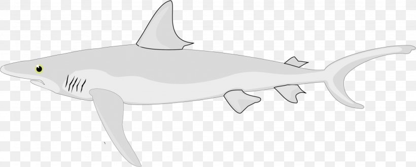 Requiem Shark Chondrichthyes Fish, PNG, 2254x911px, Shark, Animal, Animal Figure, Cartilage, Cartilaginous Fish Download Free