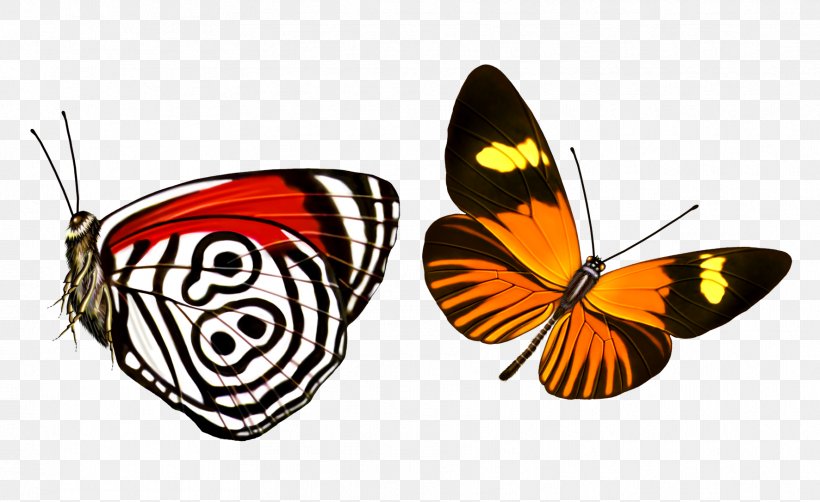 Butterfly Download Graphic Design, PNG, 1772x1086px, Butterfly, Animal, Arthropod, Brush Footed Butterfly, Creative Work Download Free