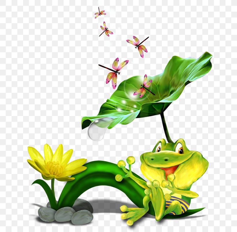 Tree Frog True Frog Clip Art, PNG, 656x800px, Tree Frog, Amphibian, Animaatio, Fauna, Flora Download Free