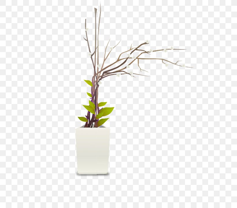 Flowerpot Twig Branch Flower Plant, PNG, 522x720px, Flowerpot, Branch, Flower, Grass, Grass Family Download Free