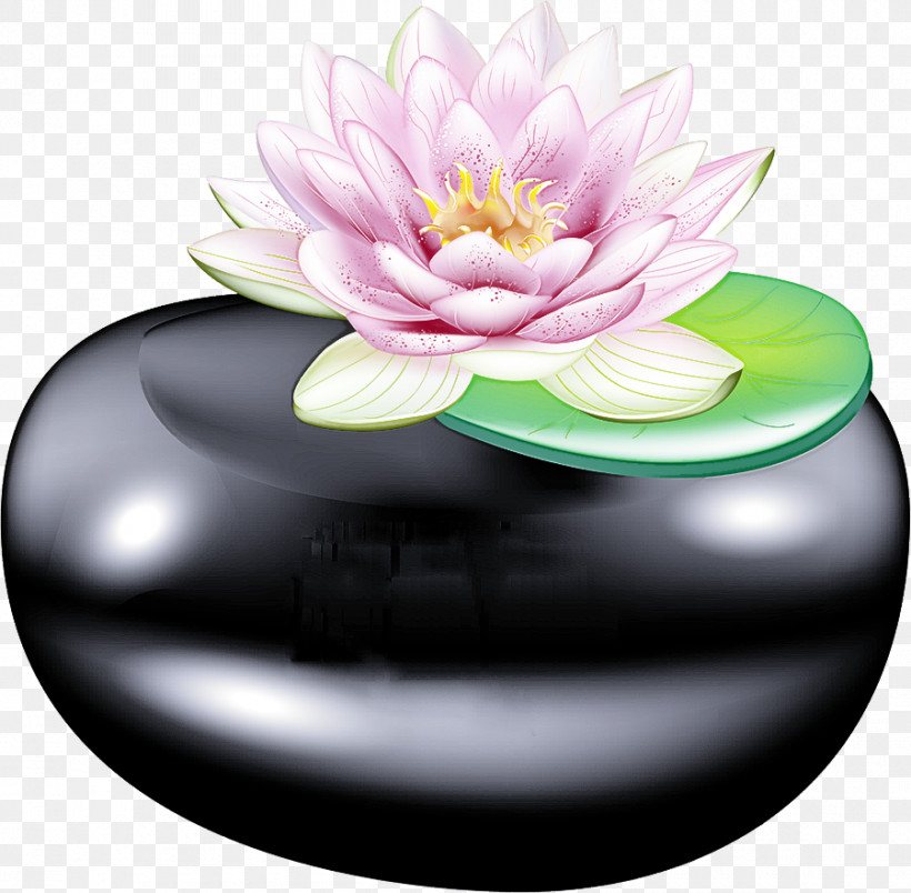 Lotus Flower, PNG, 900x883px, Lotus Flower, Petal Download Free