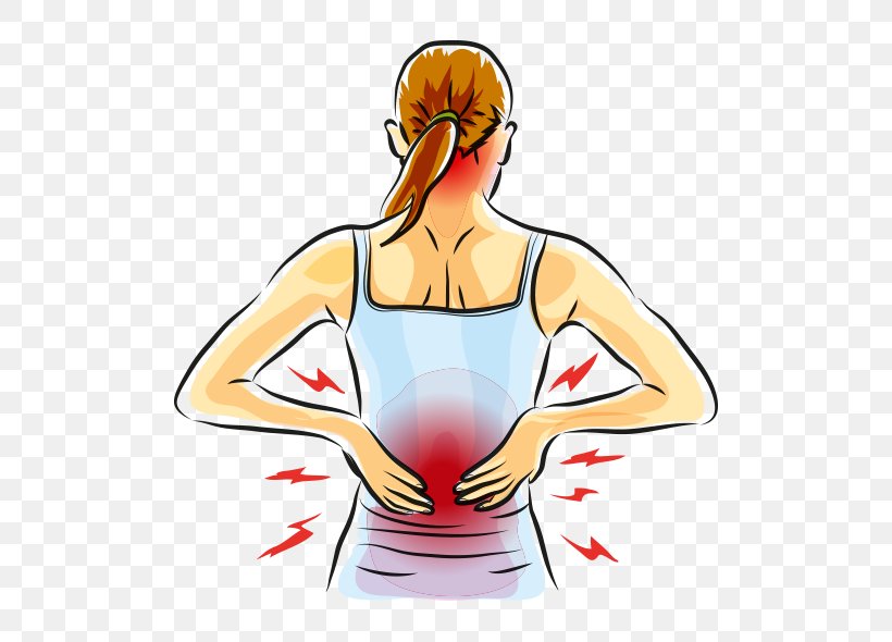 Low Back Pain Human Back Muscle Pain Arthritis, PNG, 500x590px, Back Pain, Ache, Ankle, Arm, Arthritis Download Free