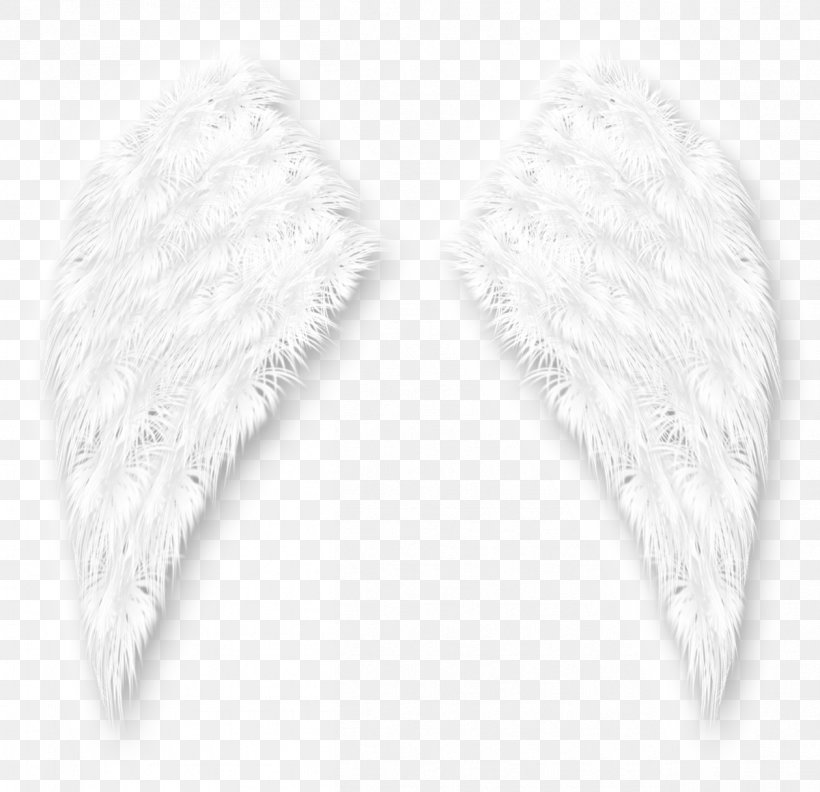 White, PNG, 1259x1217px, White, Black And White, Feather, Monochrome, Monochrome Photography Download Free