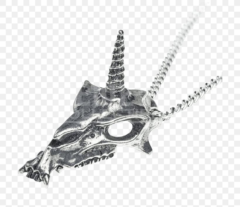 Charms & Pendants Necklace Jewellery Earring Bracelet, PNG, 706x706px, Charms Pendants, Alchemy Gothic, Black And White, Bracelet, Chain Download Free