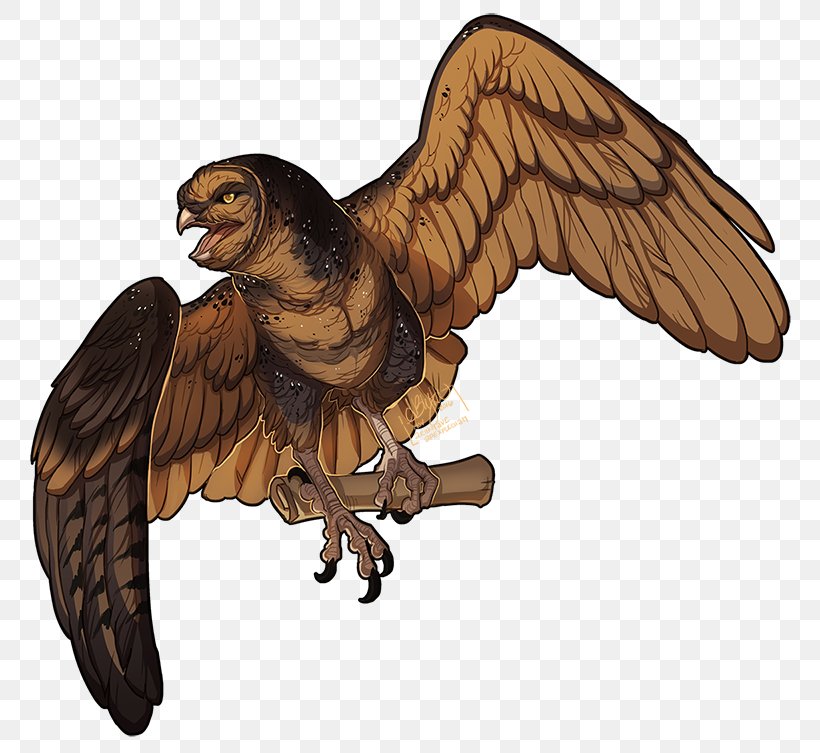 Eagle Hawk Beak Christmas Falcon, PNG, 800x753px, Eagle, Animal, Beak, Bird, Bird Of Prey Download Free
