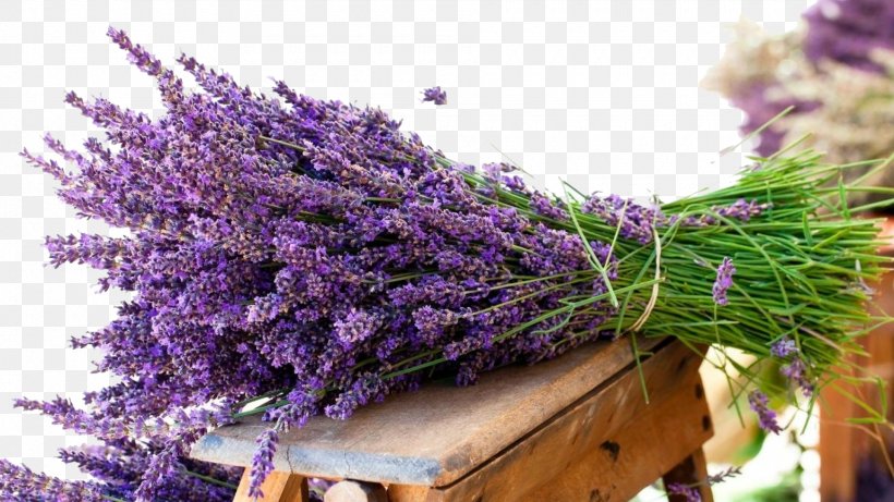 English Lavender Flower Bouquet Lavender Oil Wallpaper, PNG, 1920x1080px, English Lavender, Concime, Edible Flower, Flower, Inflorescence Download Free