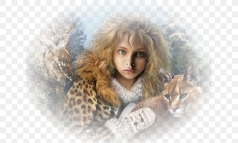 Fairy Fantasy Lynxes Cat Elf, PNG, 640x494px, Fairy, Art, Big Cats, Black Cat, Cat Download Free